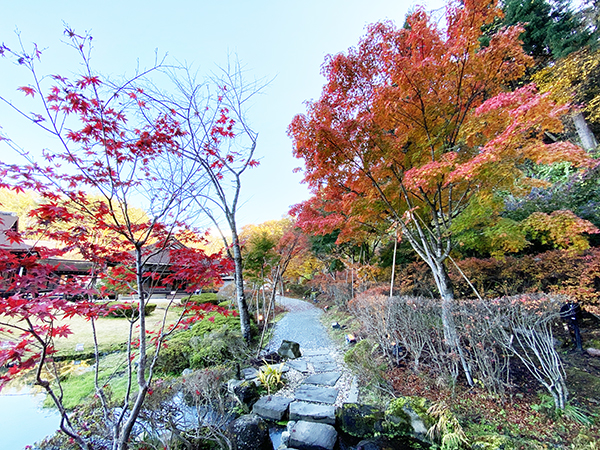 21年紅葉情報 歴史公園えさし藤原の郷